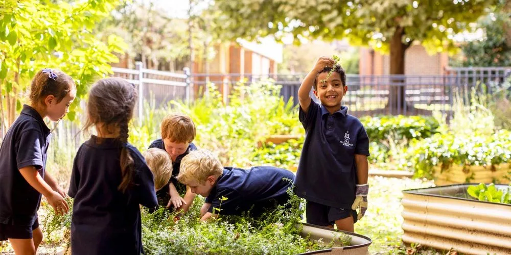 MC JS Garden Image