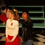 Grease 528